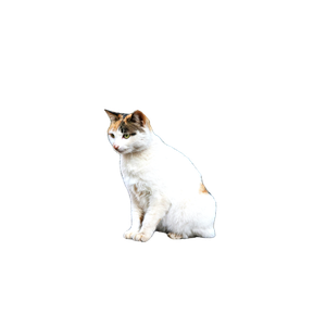 A Calico Cat Sitting On A Sidewalk With A Grassy And Tree Filled Background Outdoors. 14909 - Cat PNG image with transparent background